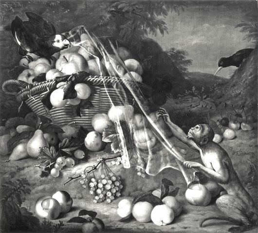 A. C. Cooper — Stranovius Tobias - sec. XVIII - Natura morta con cesto di frutta, pappagallo e scimmia in un bosco — insieme